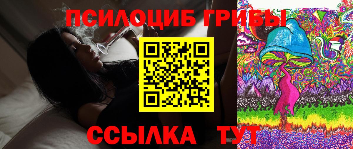 Псилоцибиновые грибы GOLDEN TEACHER Советская Гавань